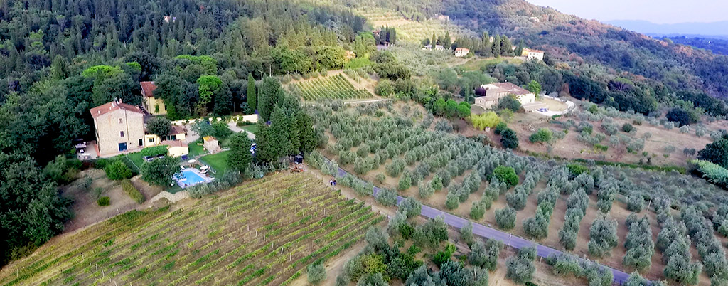 Panorama azienda agricola